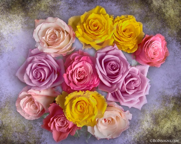 Colorful Bouquet Of Roses