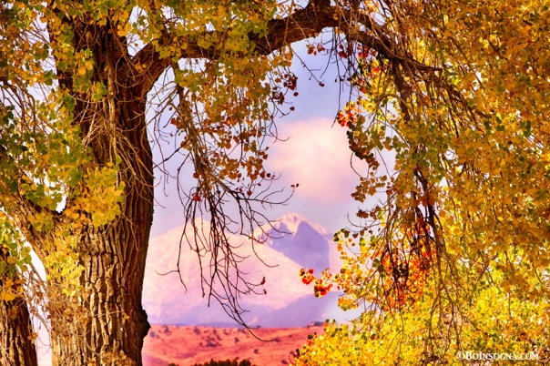 Autumn Cottonwood Twin Peaks View