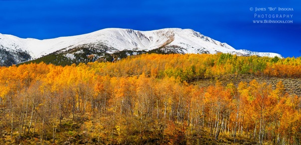 Colorado Rocky Mountain Independence Pass Autumn Pano 2