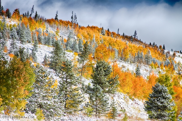 Colorado Rocky Mountain Snowy Autumn Colors