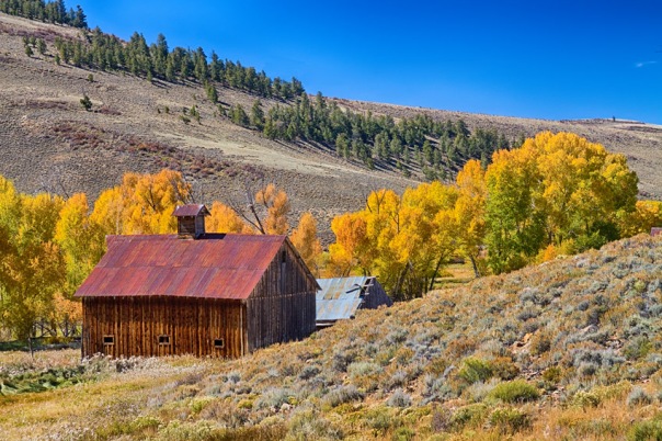 Colorado Rustic Rural Barn with Autumn Colors