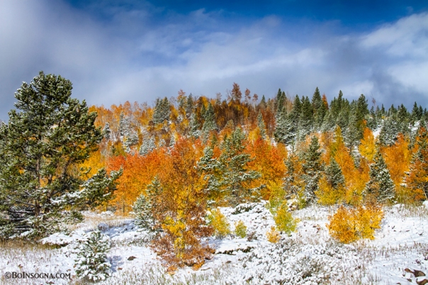Rocky Mountain Autumn Storm
