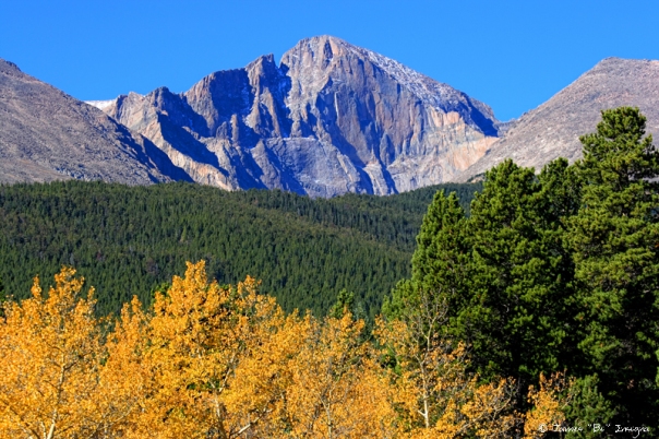 Longs Peak Autumn Aspen Landscape View - James Bo Insogna