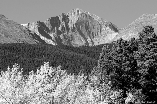 Longs Peak Autumn Aspen Landscape View BW - James Bo Insogna