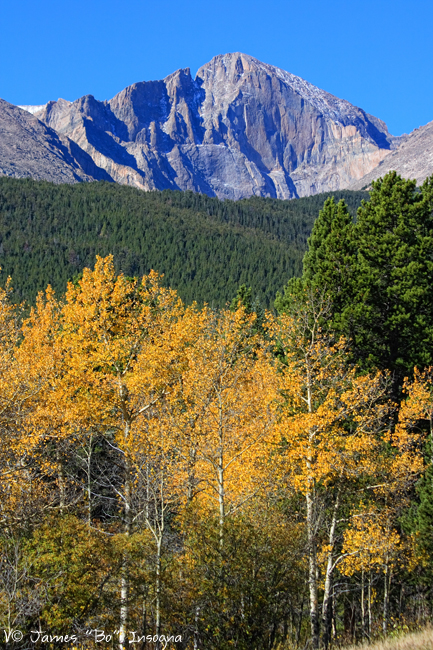 Autumn Aspens and Longs Peak - James Bo Insogna