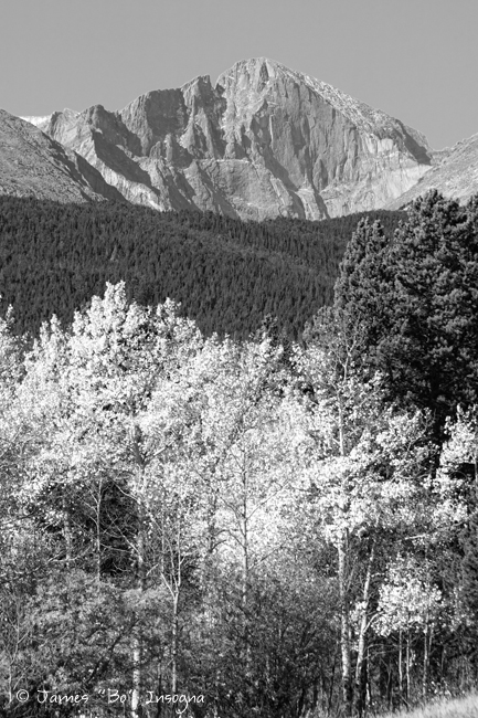 Longs Peak Autumn Scenic BW View - James Bo Insogna