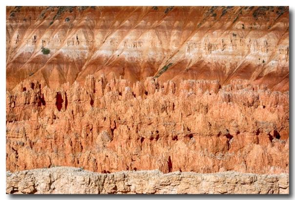 Bryce Canyon Contrast