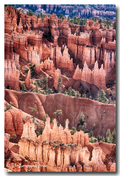 Bryce Canyon Utah Views 505