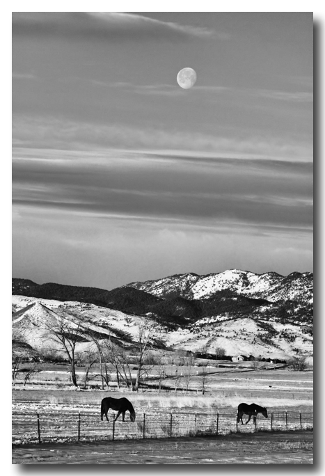 Art Print Full Moon on the CO Front Range BW