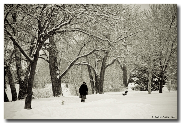 Walking the Dog in a Winter Wonderland art print