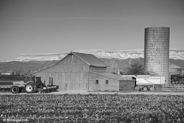 Colorado Front Range Farming BW