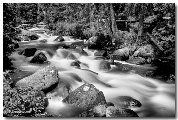 Cascading Rocky Mountain Forest Creek BW  Photography Prints