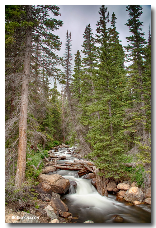 Colorado Rocky Mountain Flowing Stream Art
