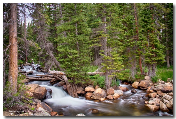 Colorado Rocky Mountain Forest Stream Art Print