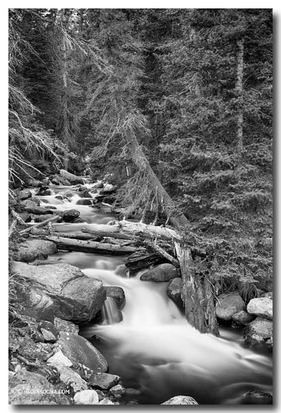 Rocky Mountain Stream in Black and White Art