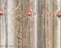 Railroad Wood Texture and Red Bolts