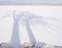 Frozen Lake Tree Shadow Puppets