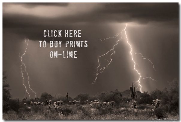 Click here to buy prints on line