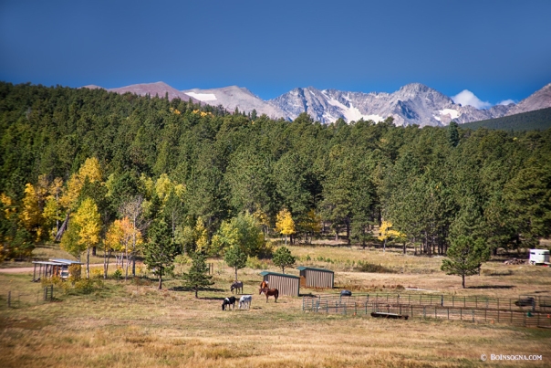 Colorado High Country Landscape