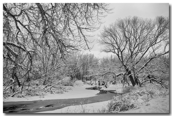  Winter Creek in Black and White