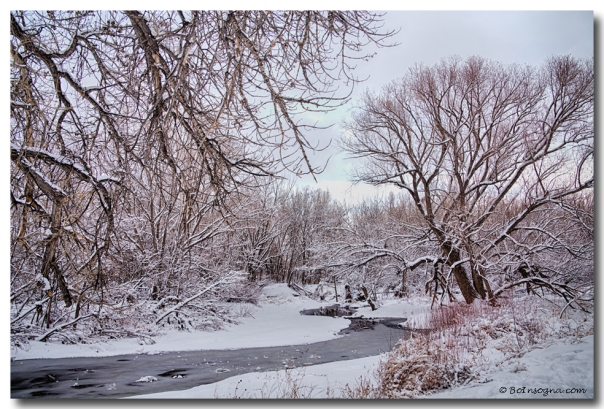  Winter St Vrain River Boulder County Colorado Art Print