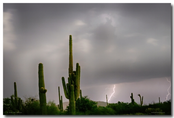 Sonoran Monsoon Lightning Thunderstorm Delight Art Print