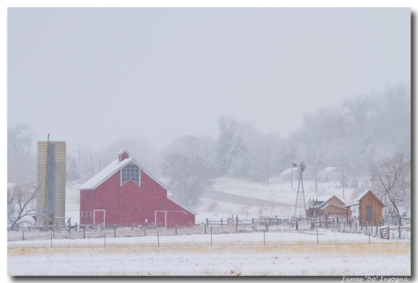 Snowy Country Winter Day Art Print