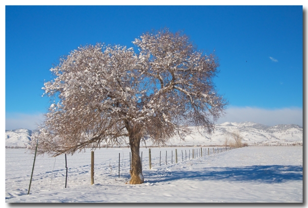 Winter Season On The Range Snow And Blue Sky Art Prints