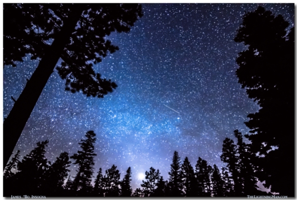Forest Star Gazing An Astronomy Delight Art Print