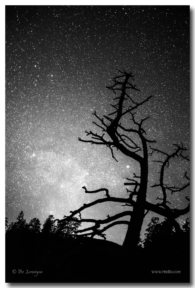 Astrophotography Night Black and White Portrait View