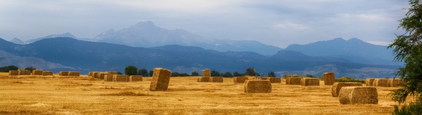 Colorado Agriculture Farming Panorama View