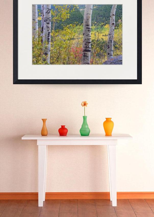 Carved-Names-and-Initials-in-Autumn-Aspen-Trees_art print