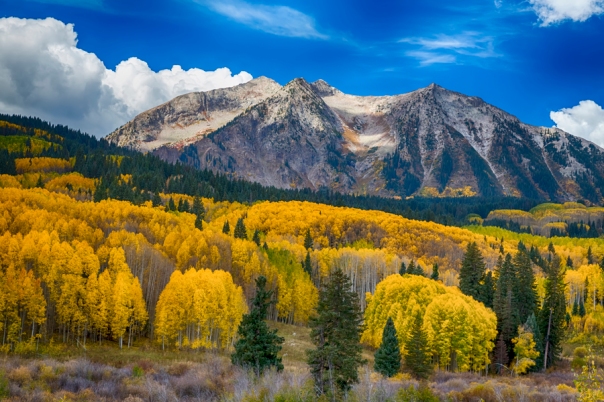Colorado Rocky Mountain Autumn Season Beauty Art Print