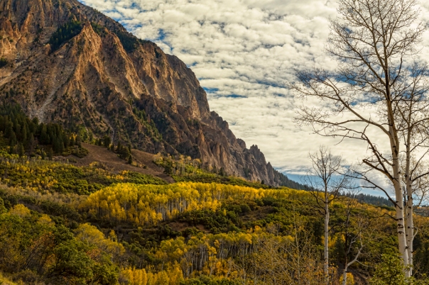 Rocky Mountain Autumn Glory