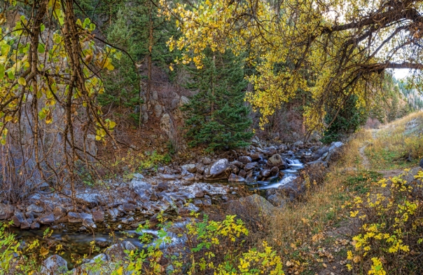 Boulder Creek Autumn View