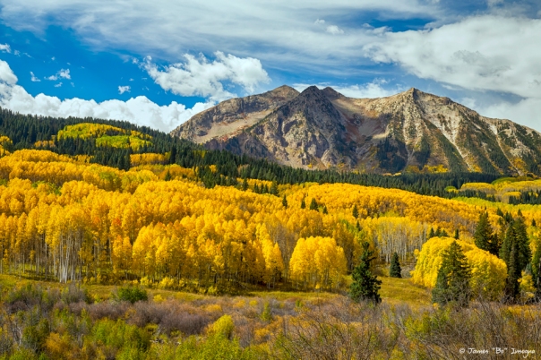 Colorado Rocky Mountain Fall Foliage art print