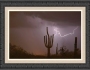 Saguaro Southwest Desert Lightning Air Strike