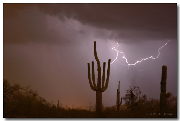 Lightning striking in the Sonoran desert air, cloud to cloud lightning strike in Arizona a view into the beautiful southwest America desert during monsoon storm season. Fine art nature landscape weather photography fine art prints, framed prints, canvas prints, acrylic prints, metal prints, phone cases, throw pillows, duvet covers, greeting cards and stock images by James Bo Insogna (C) - All Rights Reserved. Please feel Free to share our links, with Family or Friends who may also enjoy them. If you like my Art Gallery, please spread the word and press the Pinterest, FB, Google+, Twitter or SU Buttons! Thank you! *PLEASE NOTE, WATERMARKS WILL NOT BE ON THE PURCHASE PRINTS*