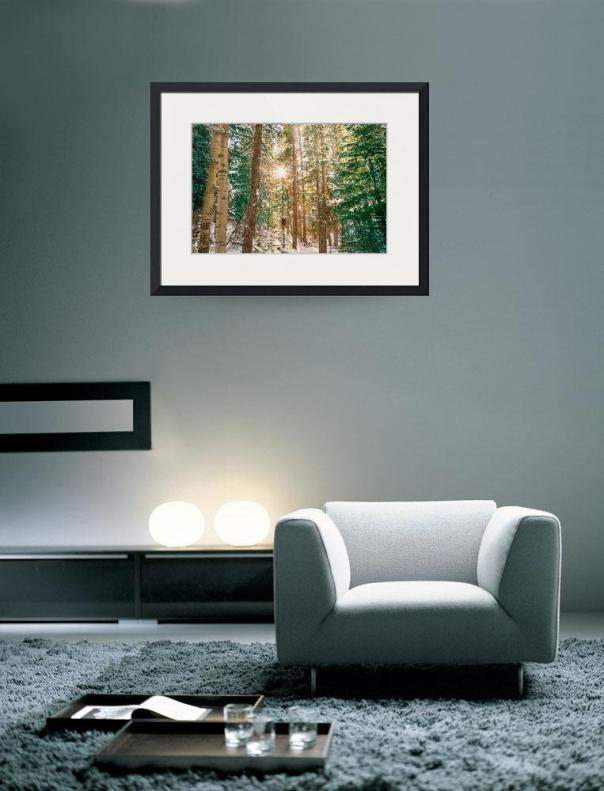 Winter-Forest-Sunshine_art_prints